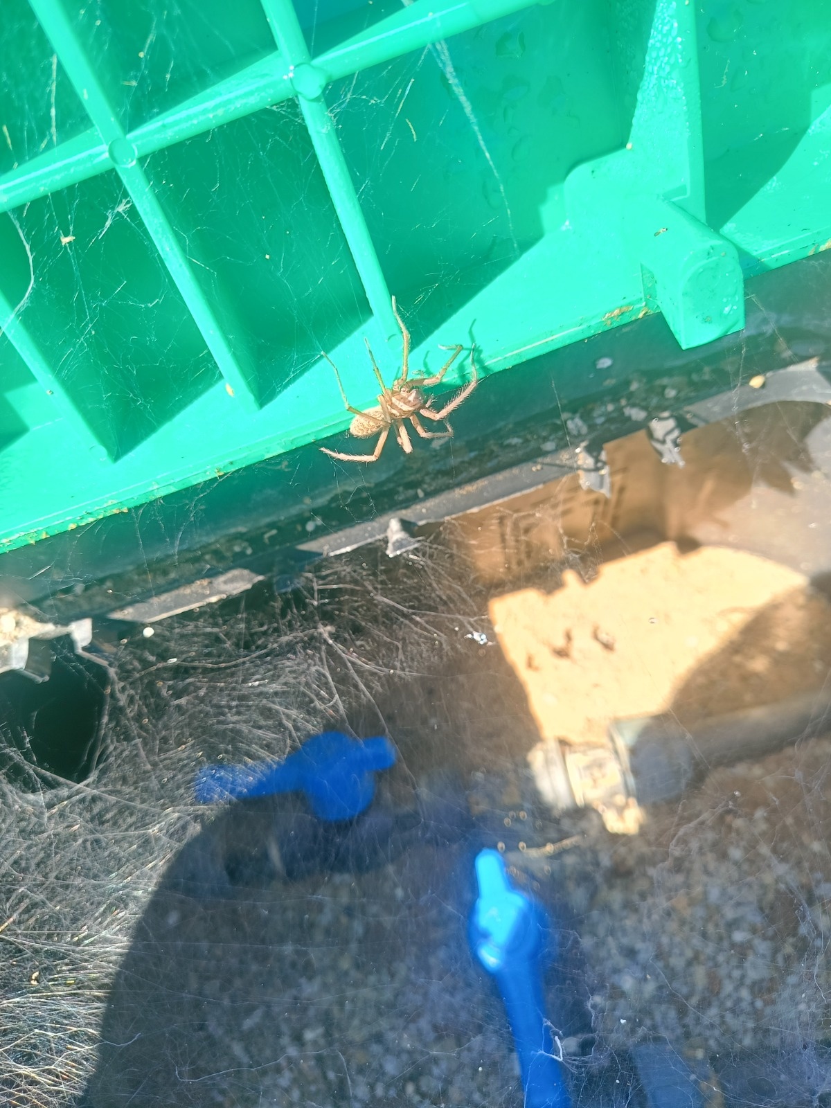 2aa01b7e-4972-4da9-a877-67726a3bf29d