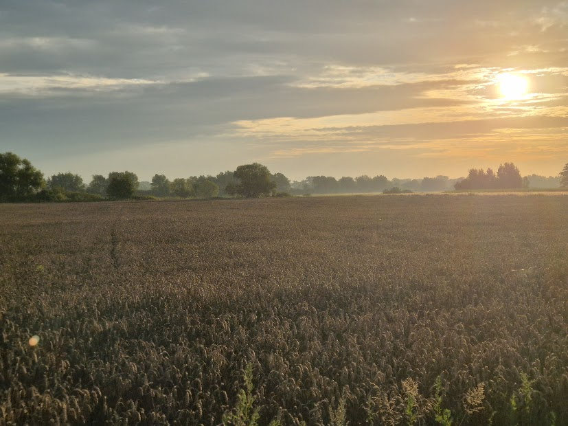 1746cede-95b1-4f58-8c1e-7607925f09ad