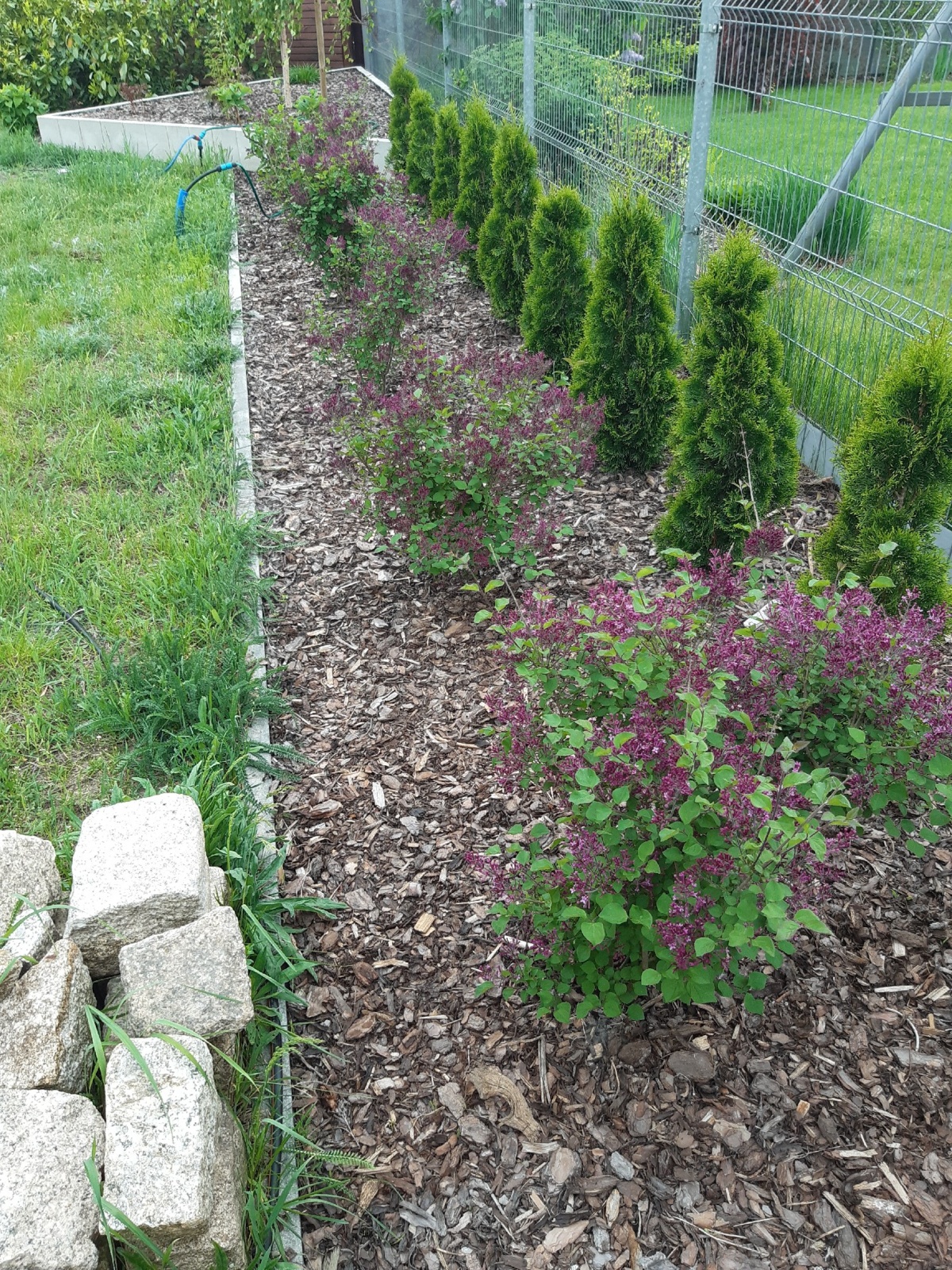 cfde0c38-cbd7-4458-b162-a78cb146824a