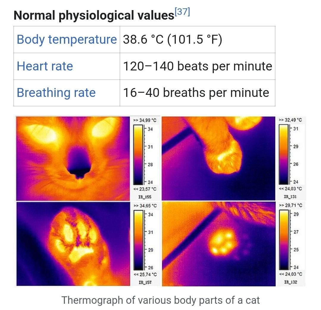 48565926-51d8-4f57-ac66-984066961c1b