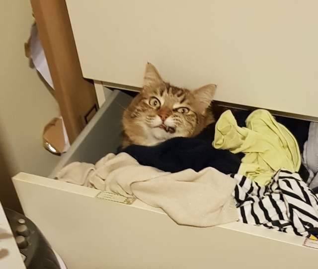 0cc67f0e-73e2-4660-ade6-903a797b200d