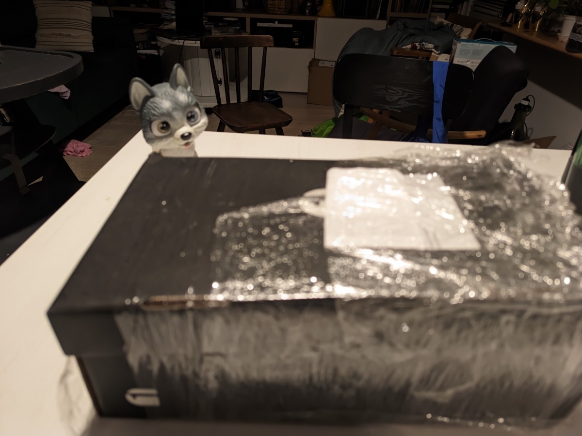 041b9068-4b6d-4f0e-8e98-b687fbe250d1