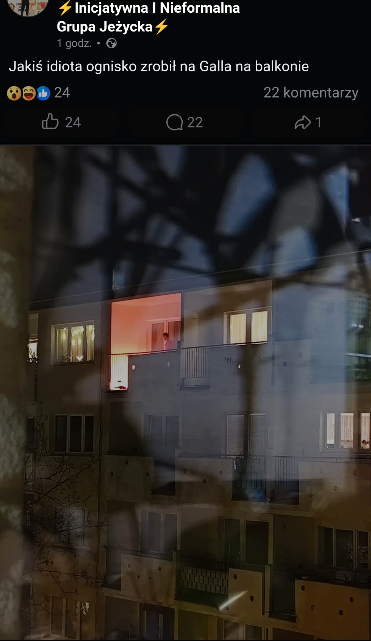 1ff42bb5-55f1-49ae-9b6b-98f6a8028281