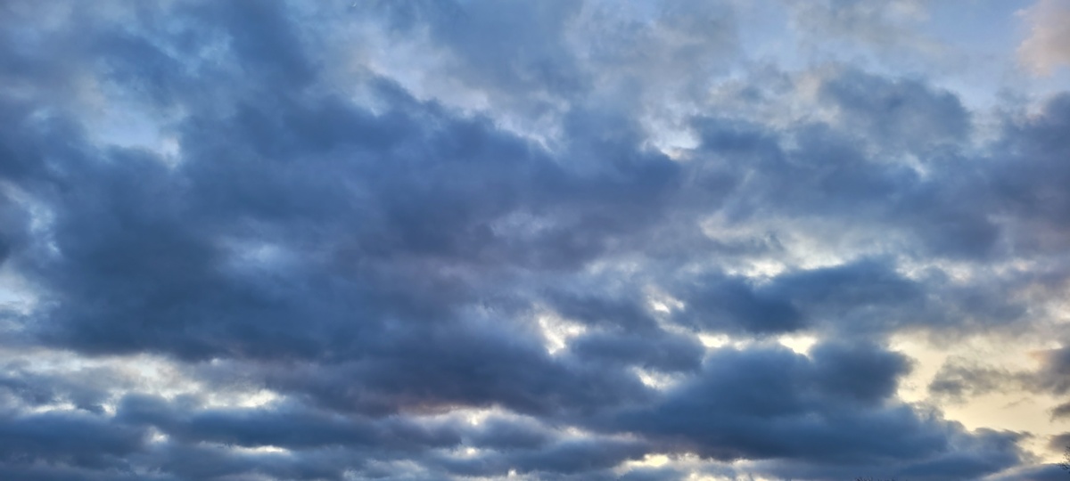 f01ceb36-b048-4542-8bc6-92eafef5adc5