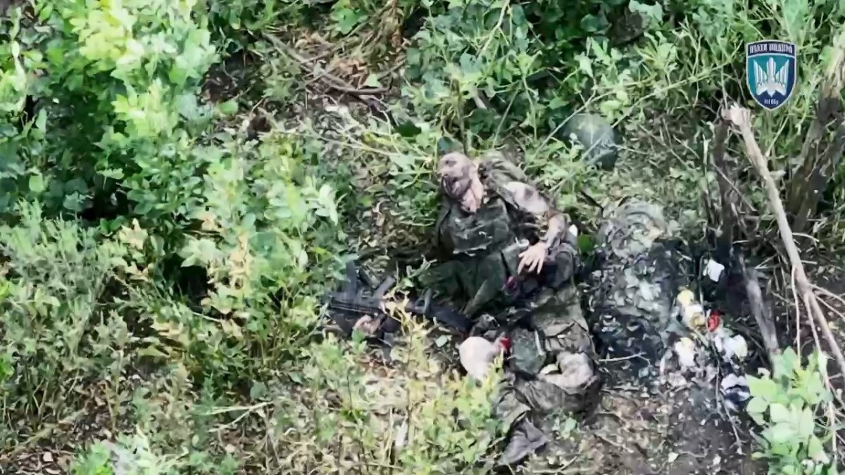 0d513b48-c0dd-4fc8-abe2-6662e7d0197e