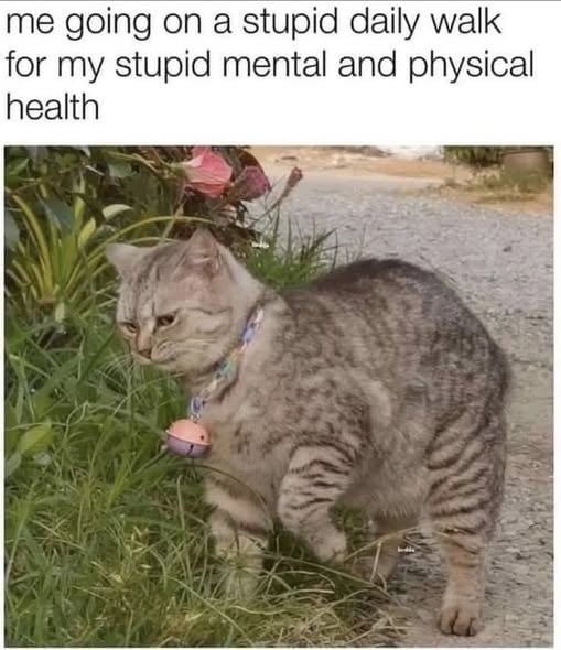 10bc4665-5592-46ec-ae3b-3c78975cba7c