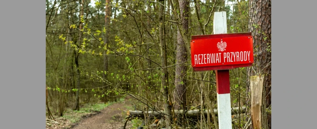 Lubelszczyzna: Powstały cztery nowe rezerwaty przyrody, gdzie je znaleźć?
