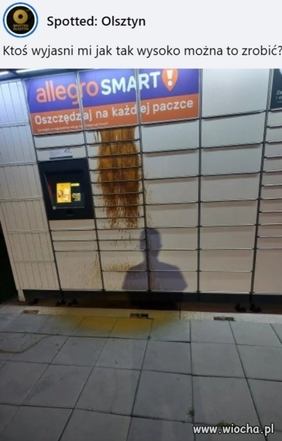 703b018d-a319-4ada-8dff-61a100ef1a52