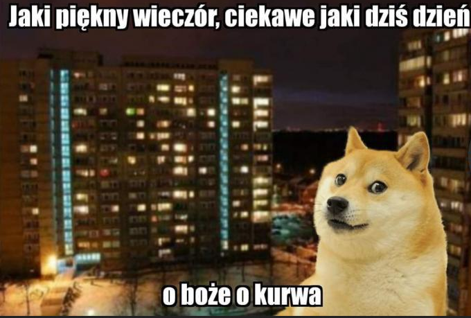 edbebeda-d68f-49c0-b744-fa11575bb4ed