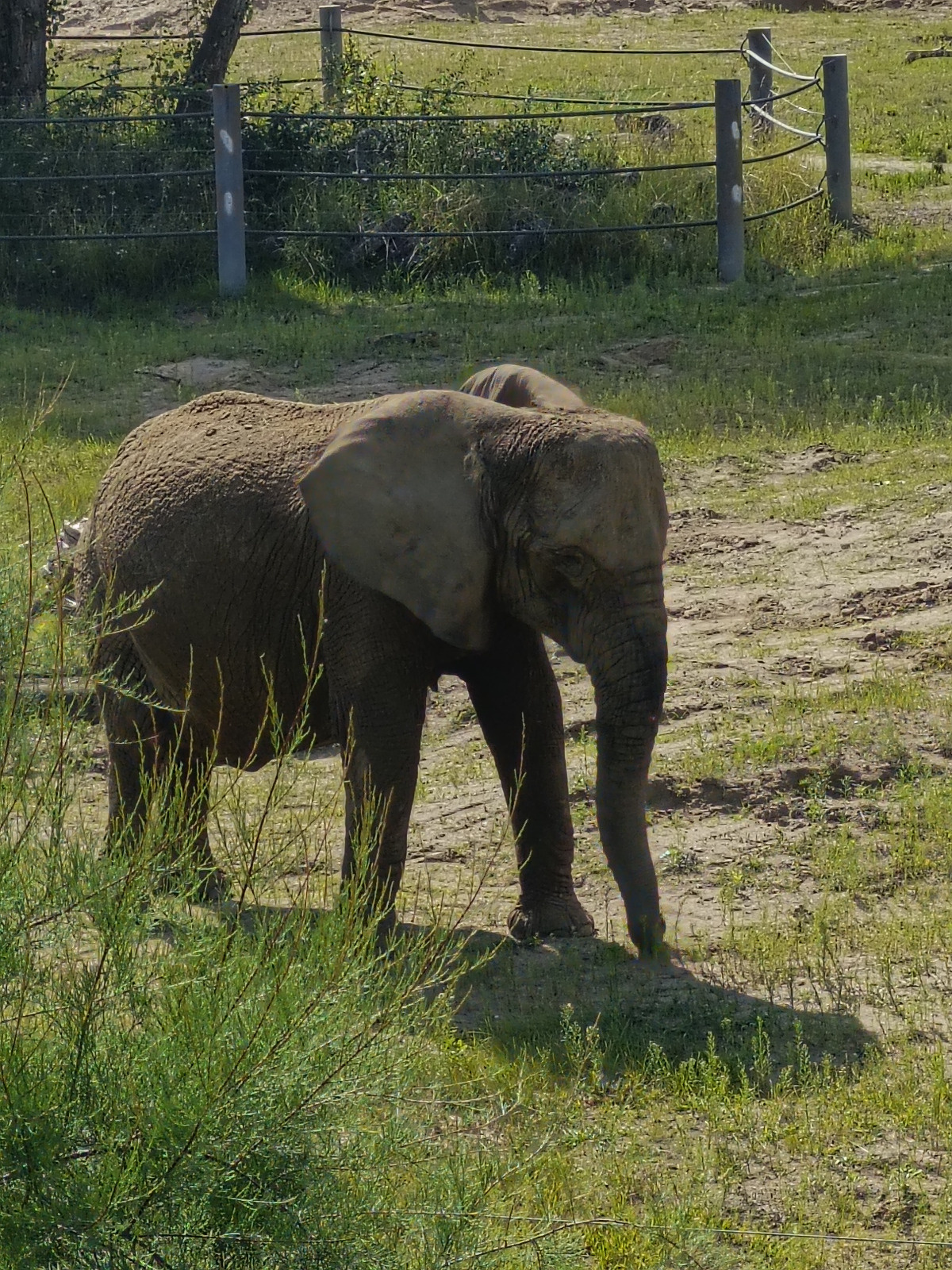 e1384d9d-d66e-4ef6-ba80-2240295082a4