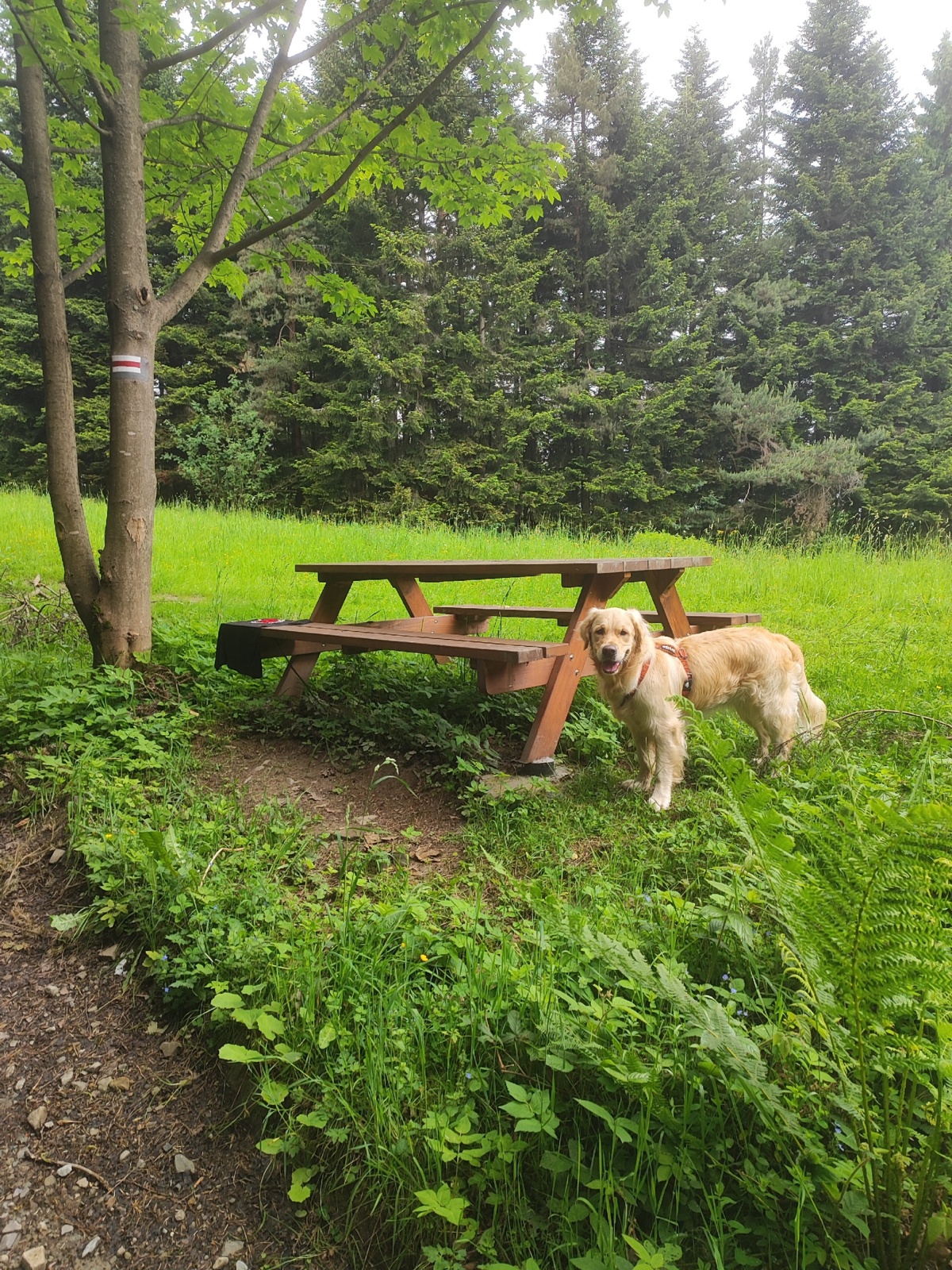 224990aa-5c55-4b59-b0eb-bda472b1db27