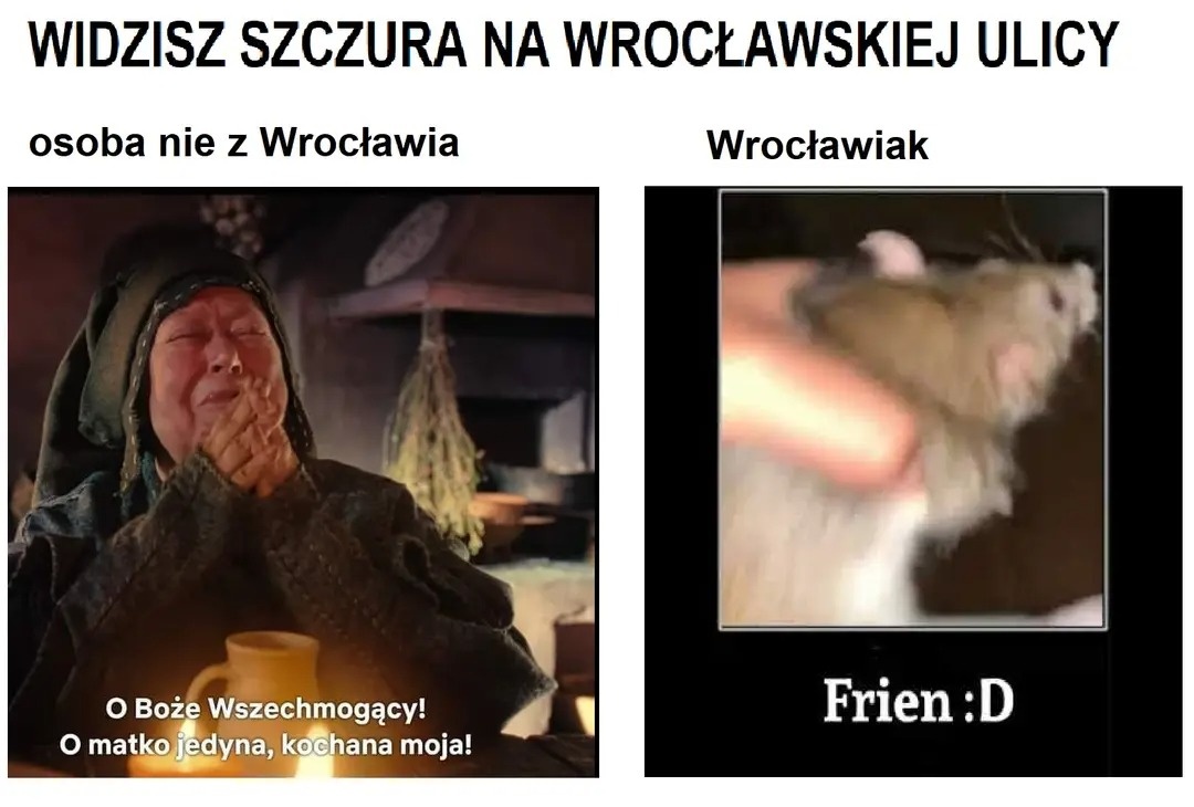 ee2f83e2-0561-4d24-b0ca-e07f5e57c3fc