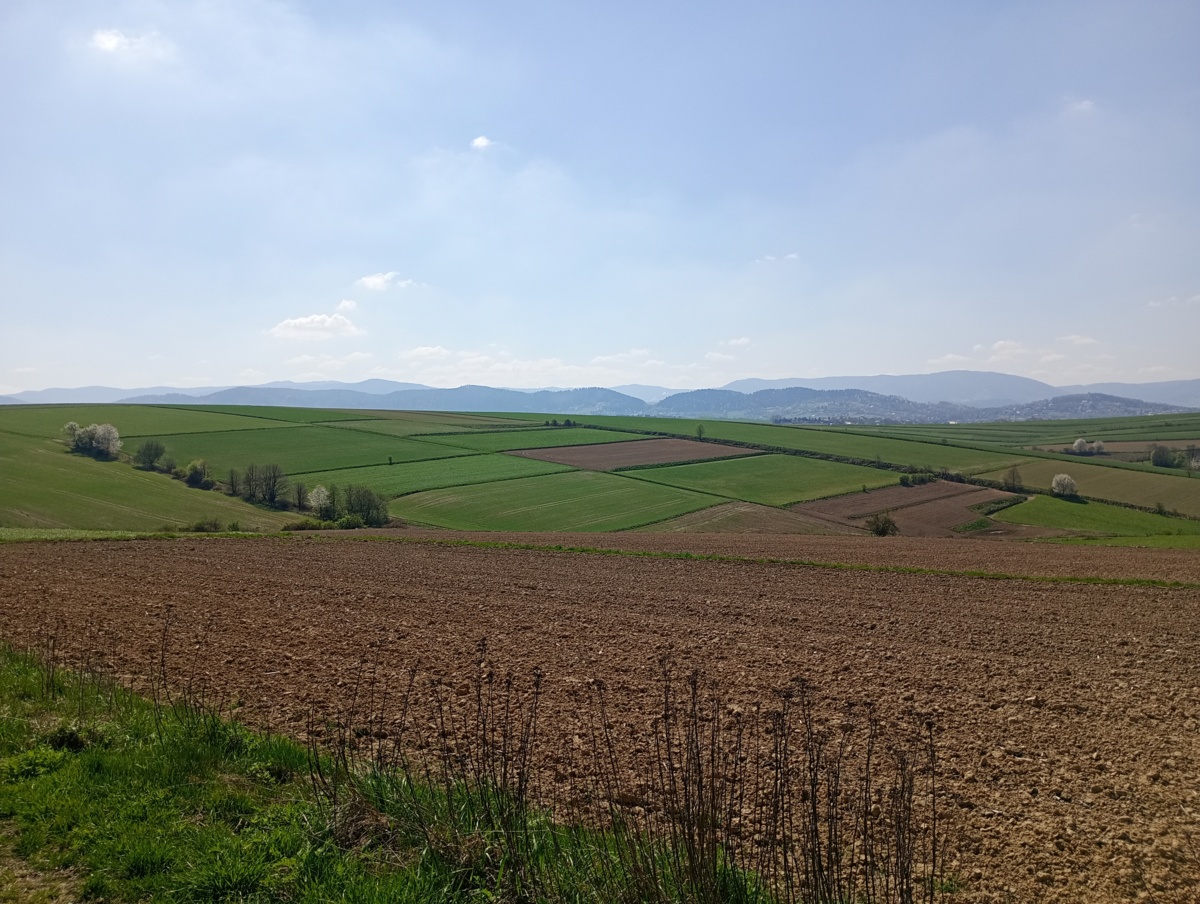 ac56f77e-b24a-4e01-a3bc-8f29cfe4caf4