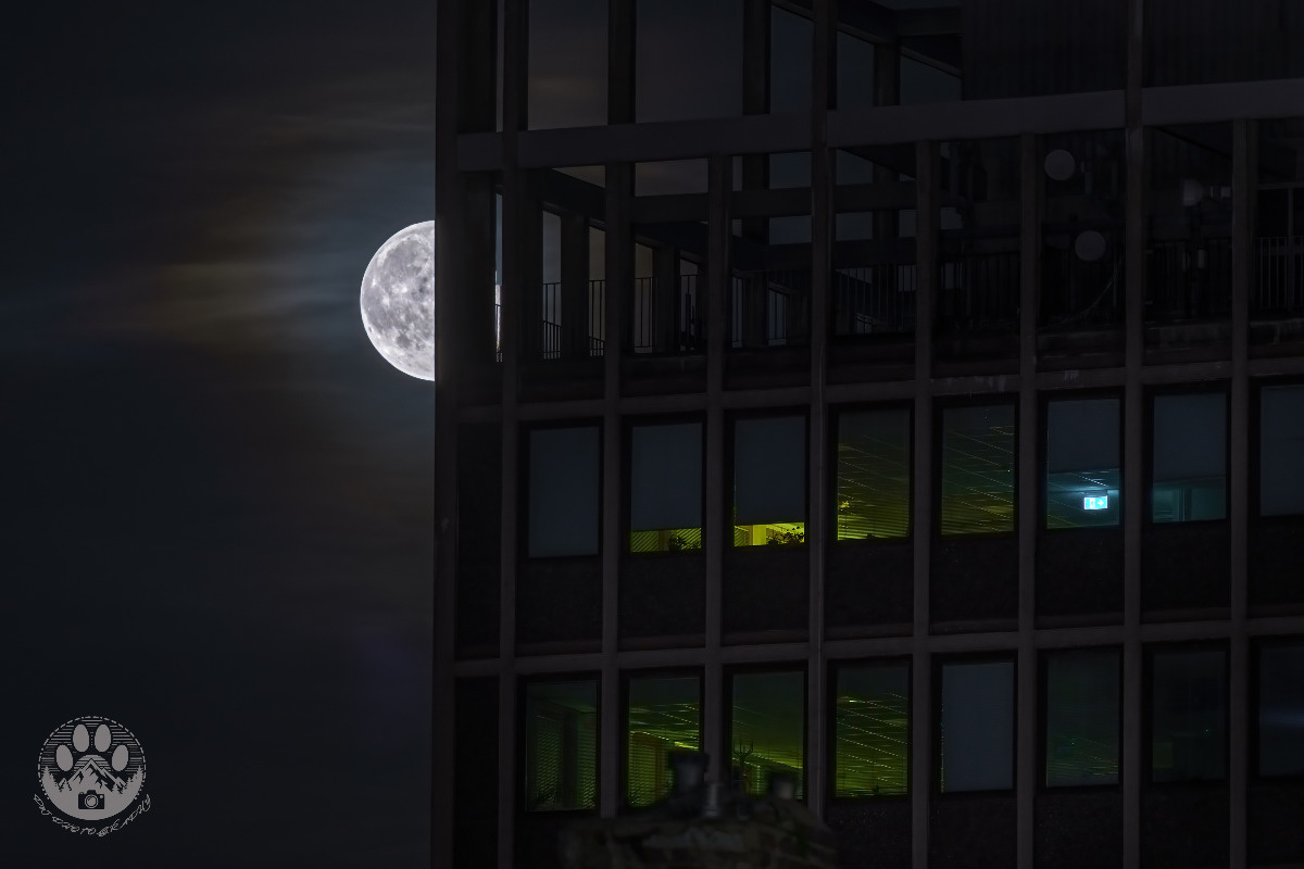 eab061a9-5f82-4948-afee-faf5212703be