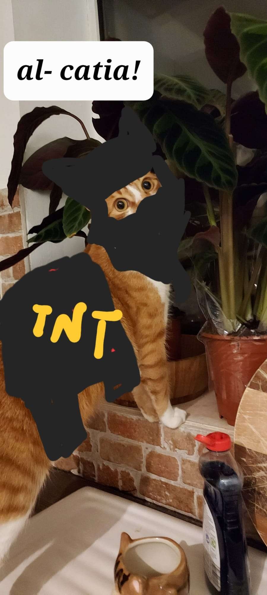 97a59a91-d4e0-47b3-bfdb-c9cb09bf4aee