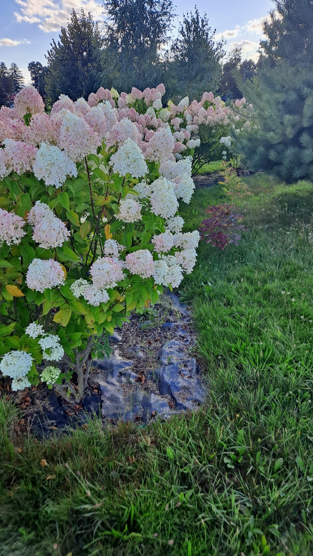 d7cd8840-c5eb-4a24-bb1c-487a1385caa2