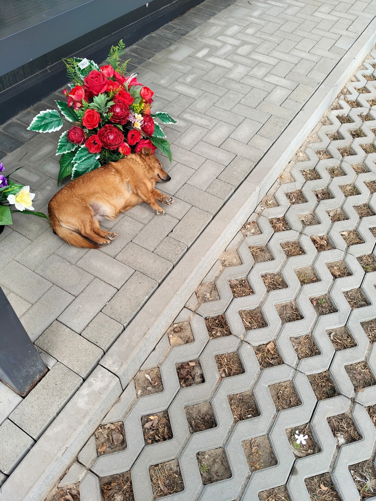 73e945be-92a0-45e1-9bdf-8909487e5bb6