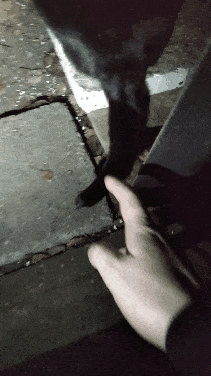 3642fbc1-4c07-48ba-ac48-3097df2db767