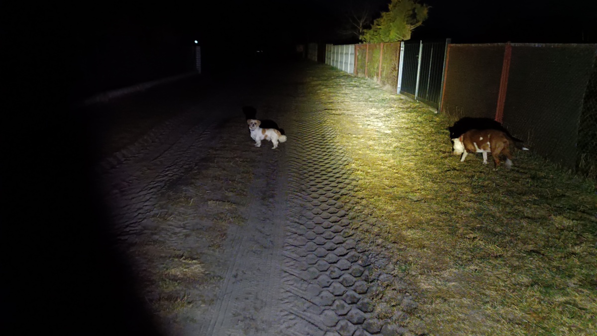 0ad9c47a-88bb-4086-8139-21d15afedbfb