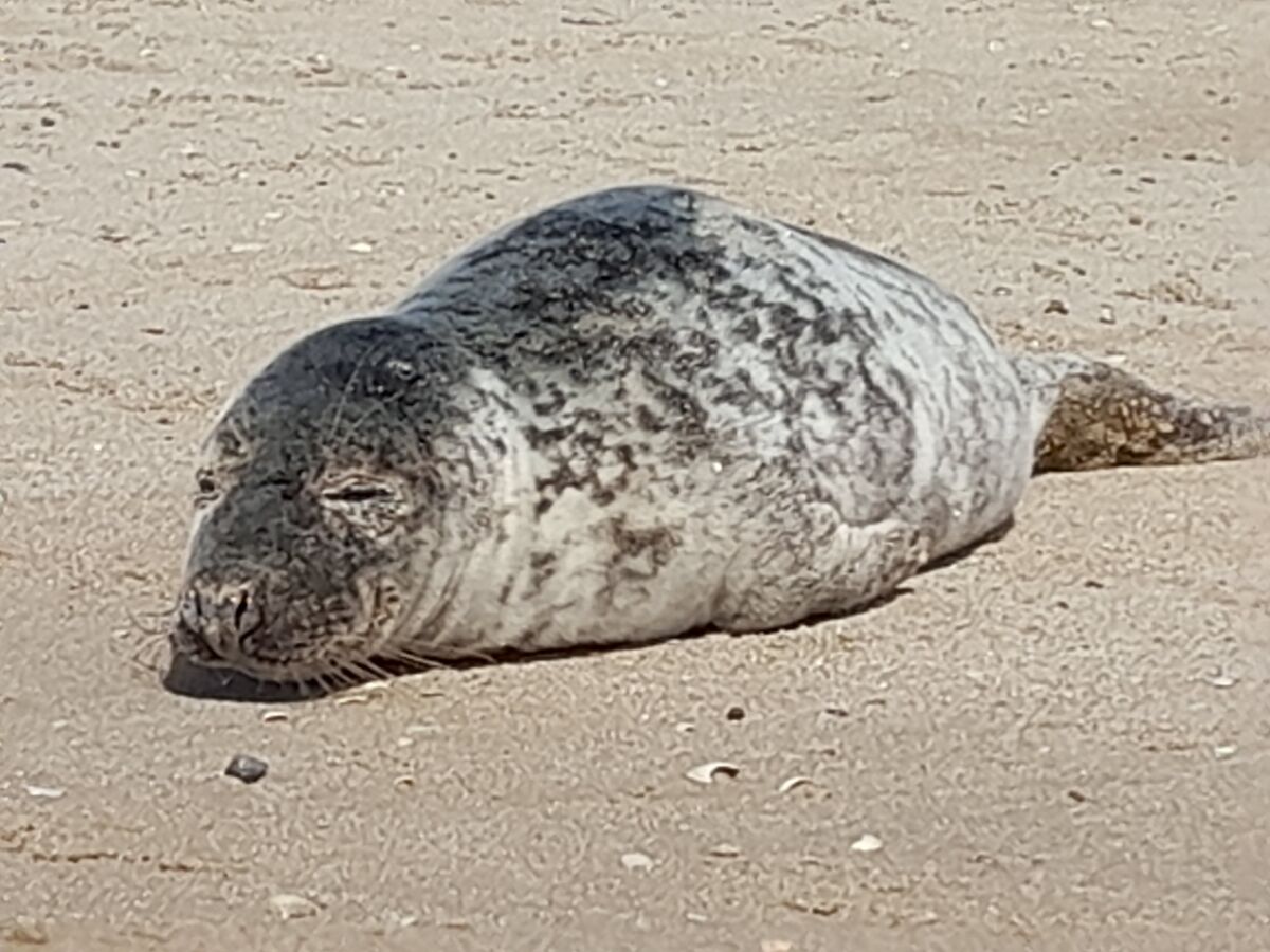 249cfaa6-cc24-4823-b807-90d766e86e76