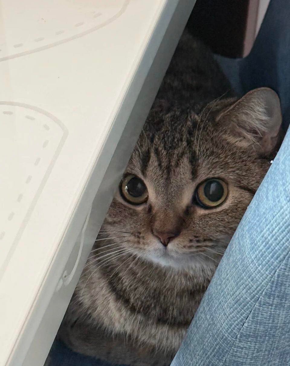 bdbfab6a-b048-4750-af5a-c8cb859c2da8