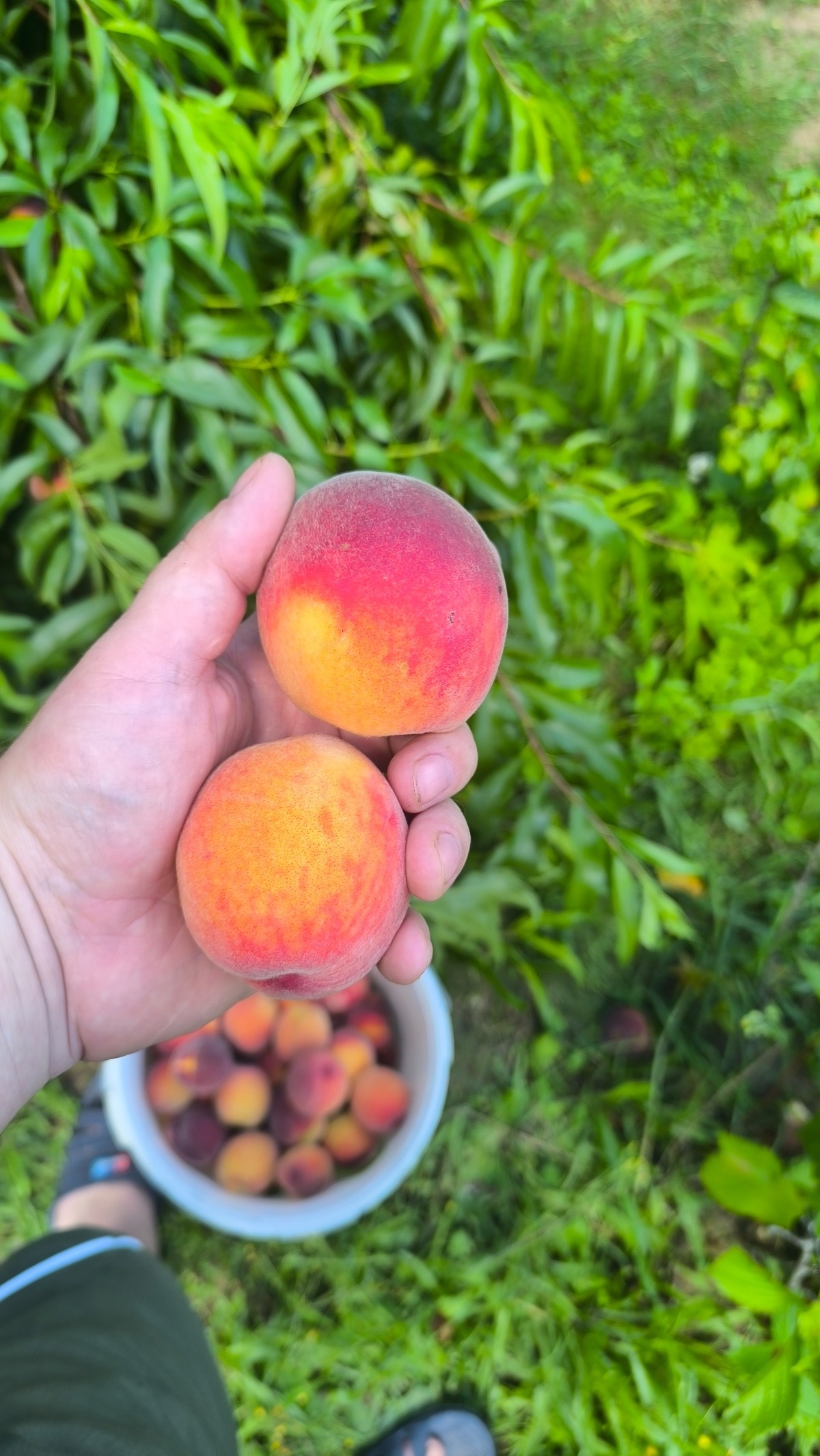 9d66e1f4-fbf9-45ac-be34-b0edea81f804