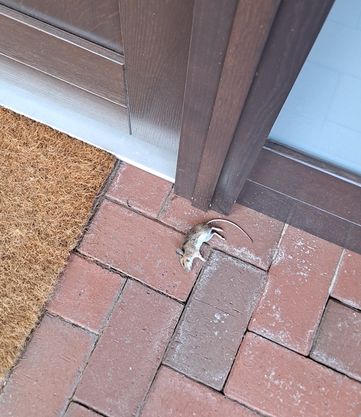 ba554cfa-ab3b-4d28-99d6-871ce2e759eb