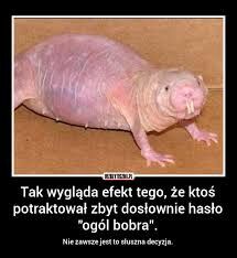 bcb1e775-67d6-4eb7-a501-a2f406a16f20