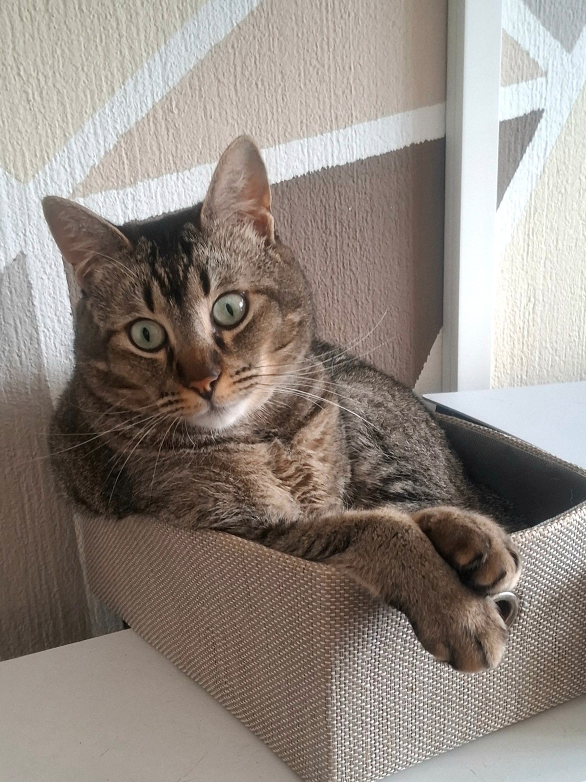 73e1cd79-06f8-40c7-b866-73c939ba7c3a