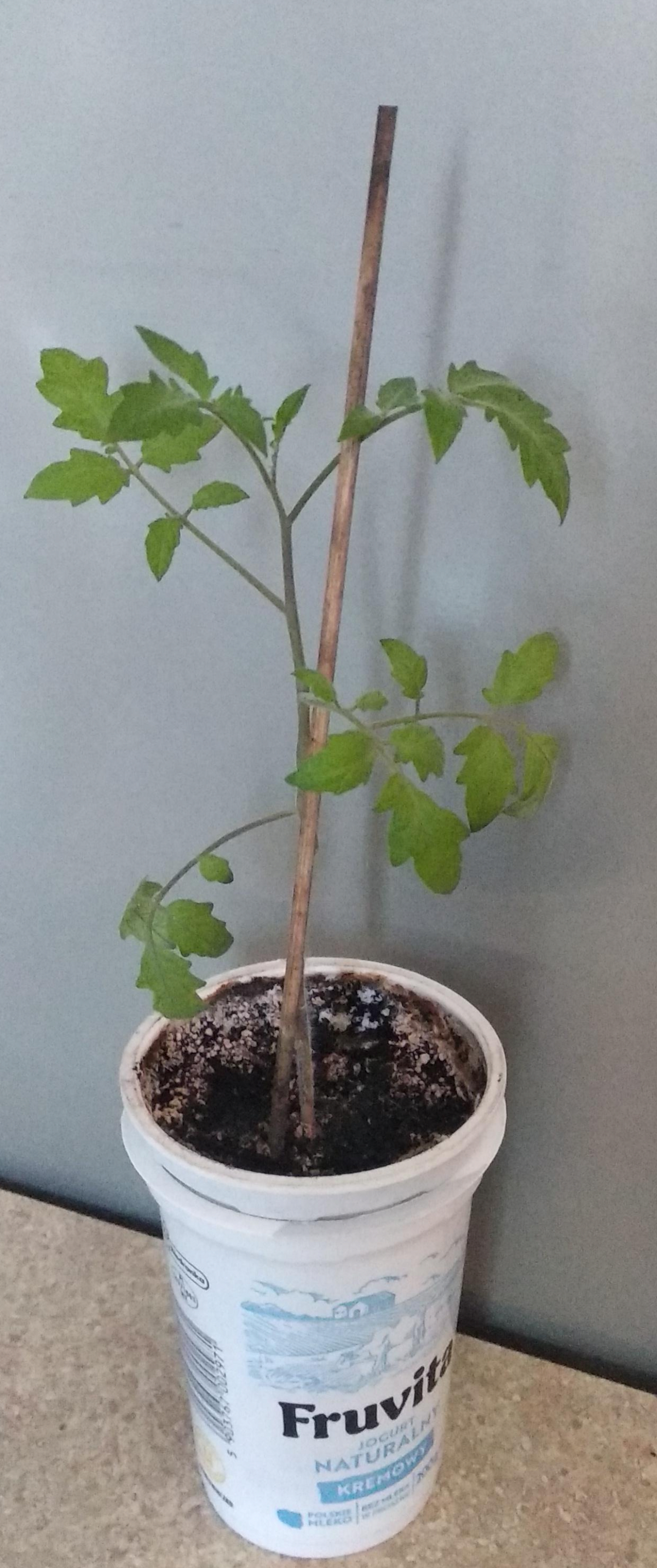 fa3232a8-4759-4f77-a33c-70e8bff4e185