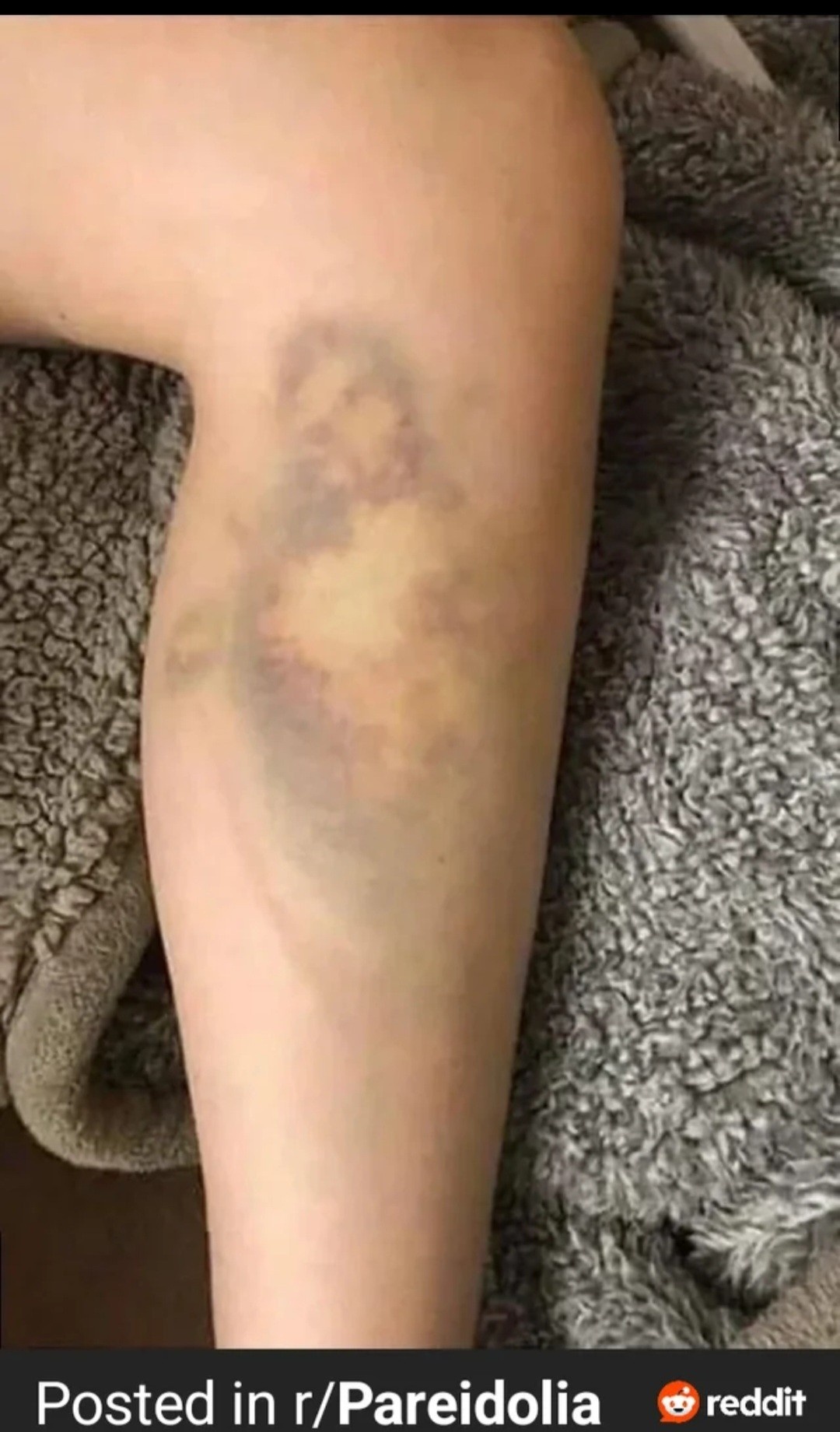 0dab380c-a784-4789-96ff-95e72c844396