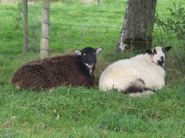 927a08f6-d5ee-4604-a6e3-87a97623c874