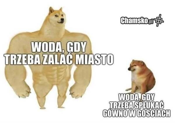 2759f76a-36f7-4b24-a595-090be46dc9c8