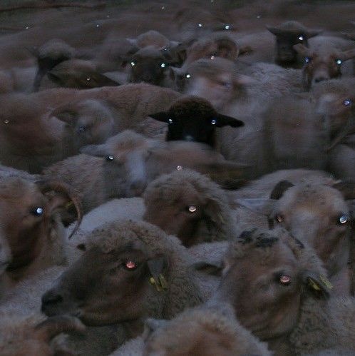 91066967-f52a-447e-a1f8-90bd3c831b56