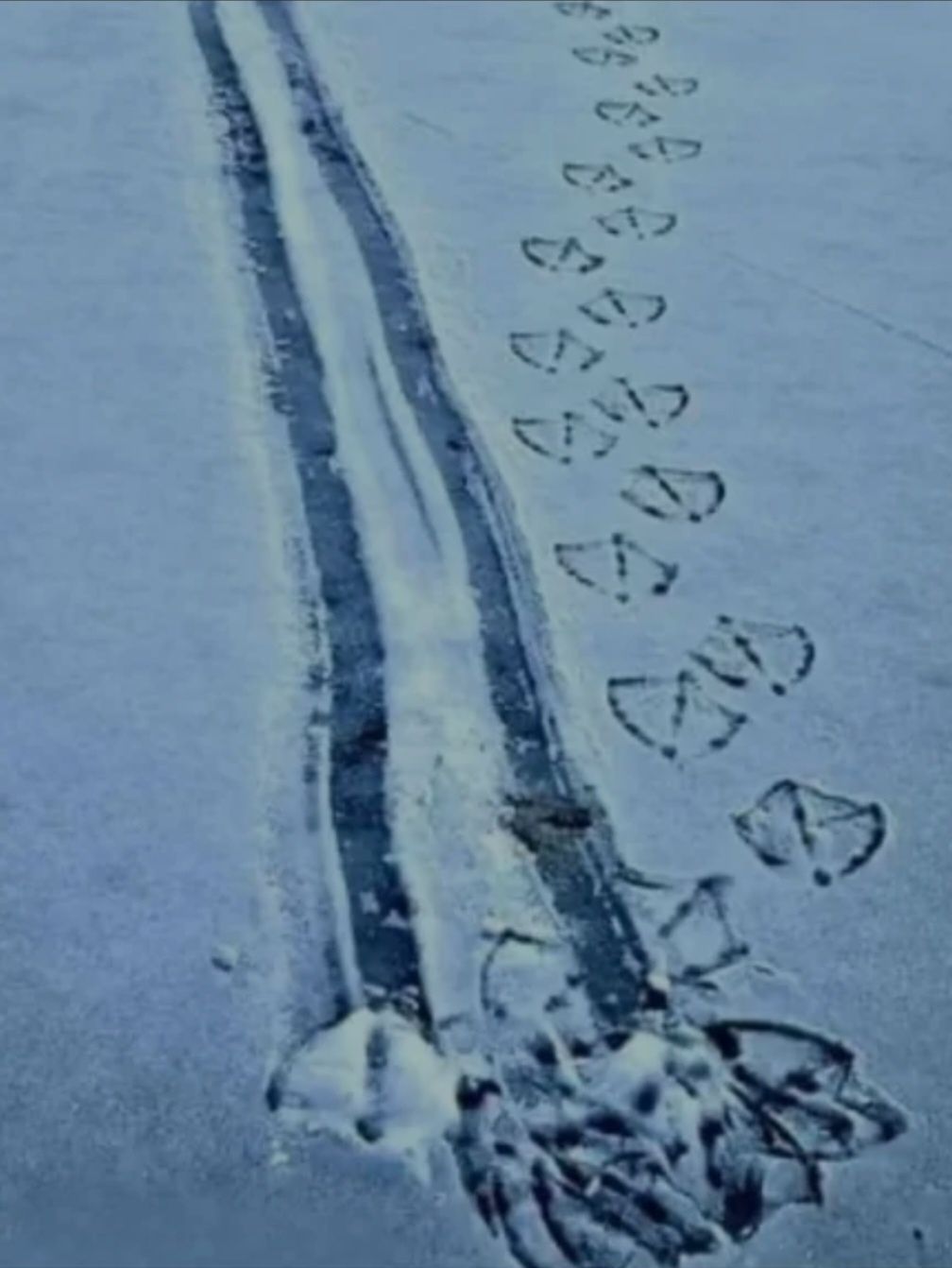 29f249f4-c357-4c0b-9dd7-4dbb188c51d1