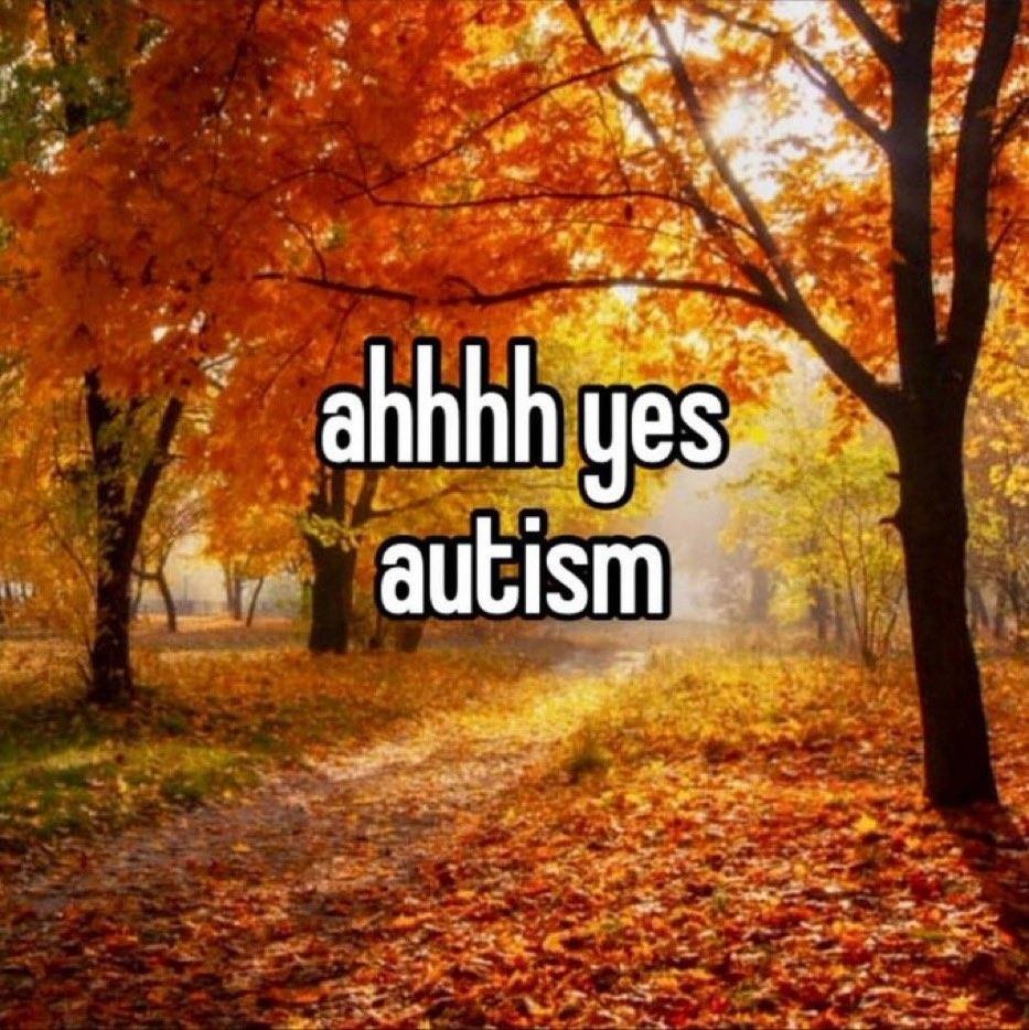 336ac831-7361-4083-97ff-97b41471f5bd