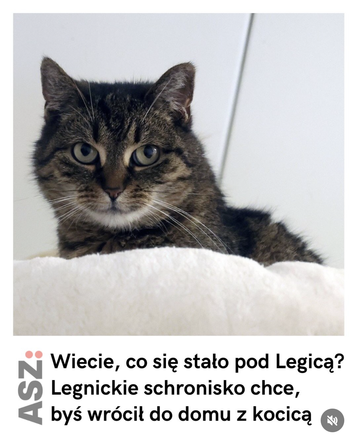 02dd6b7b-eb95-4e2c-bd27-7184d85b48cb