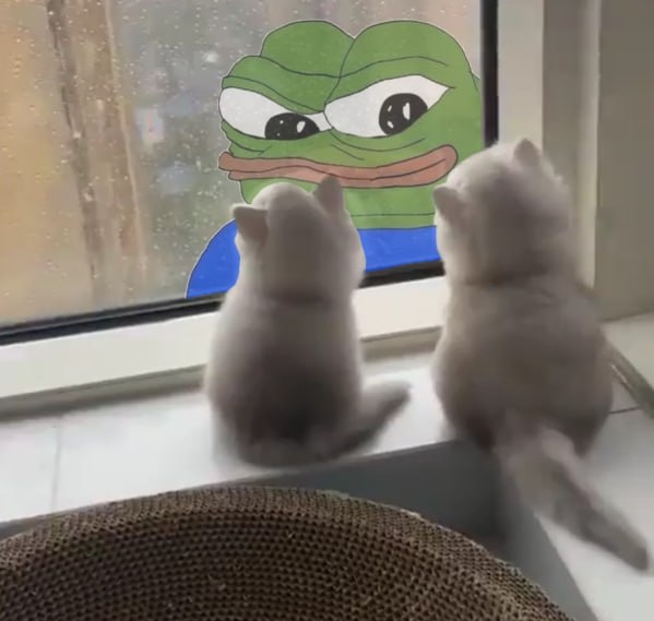 b8830bc8-947e-4aa3-a342-d48f56c5e54a