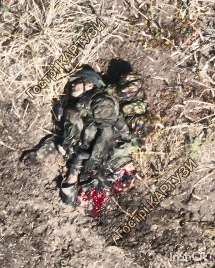 14854bdf-e3d3-4ba5-b609-086f8c4adcfc