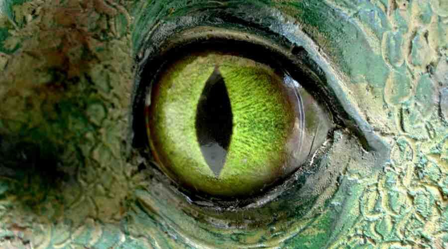 Jak wyglądałaby Ziemia, gdyby dinozaury nie wyginęły?