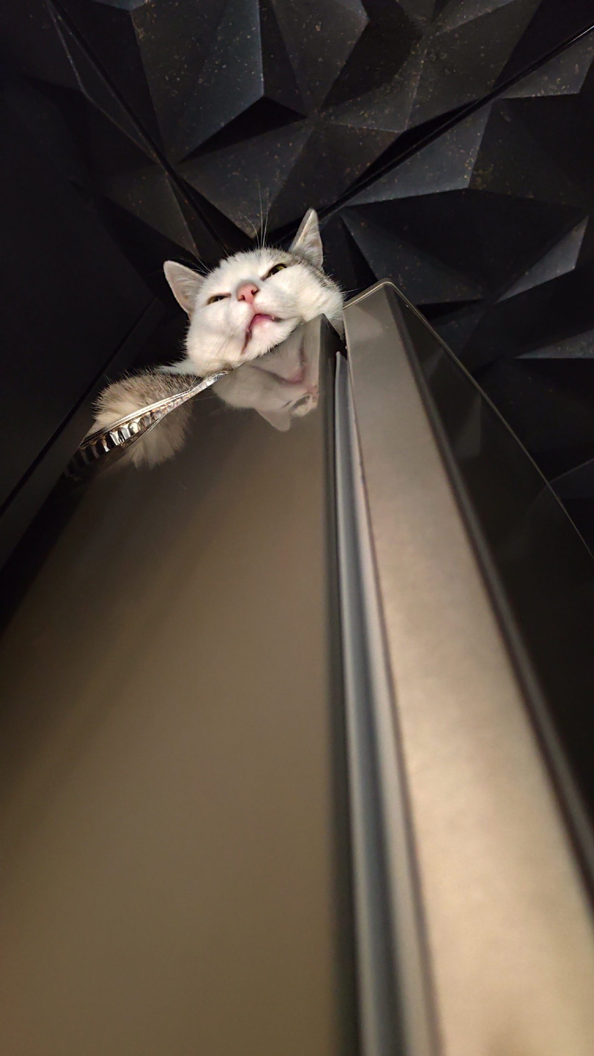 abbc0afc-fff5-40a2-b613-c523c5d9d0b0