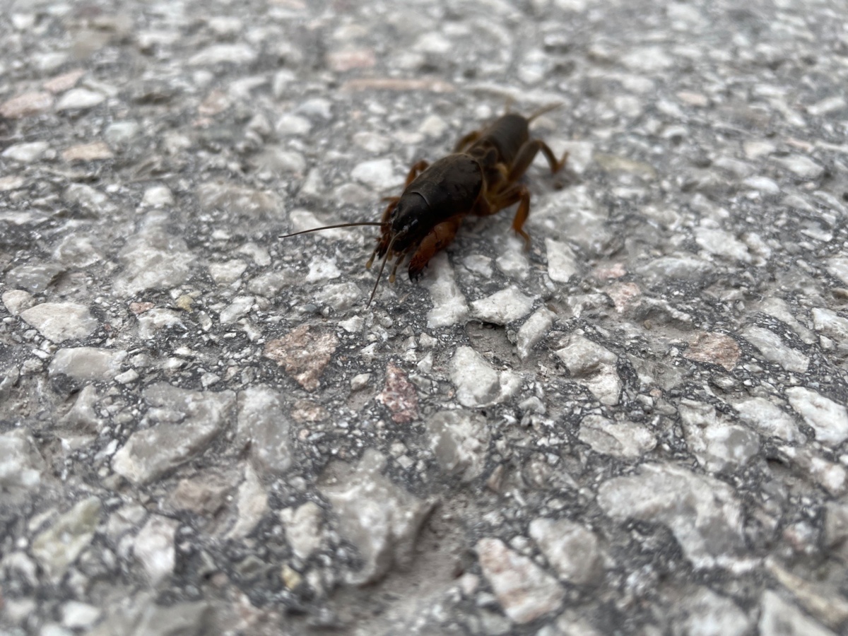 273c0a93-82b1-4b86-992d-f092b97e2414