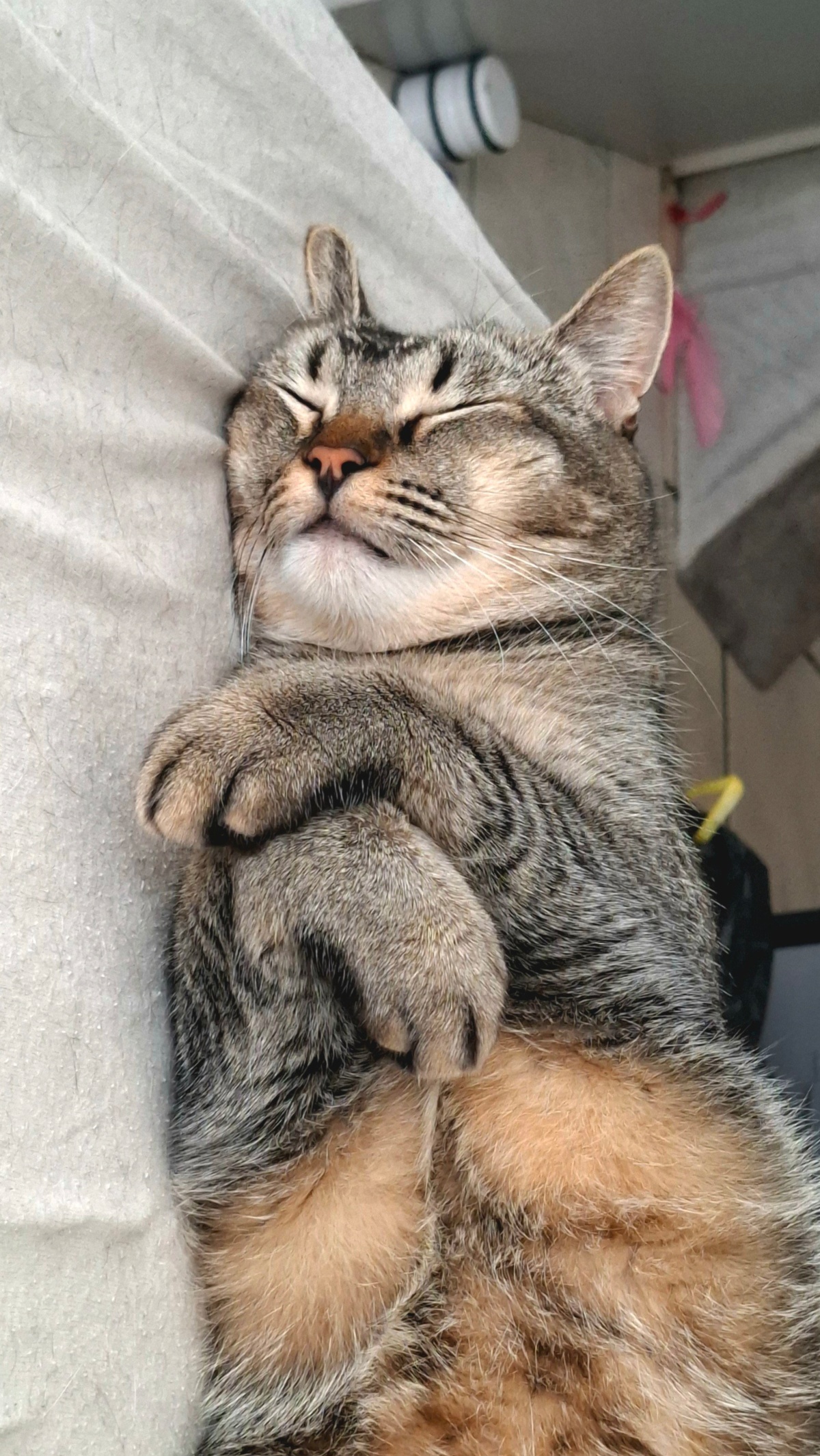 d29d7dba-80da-4202-8280-c98b747ee3d6