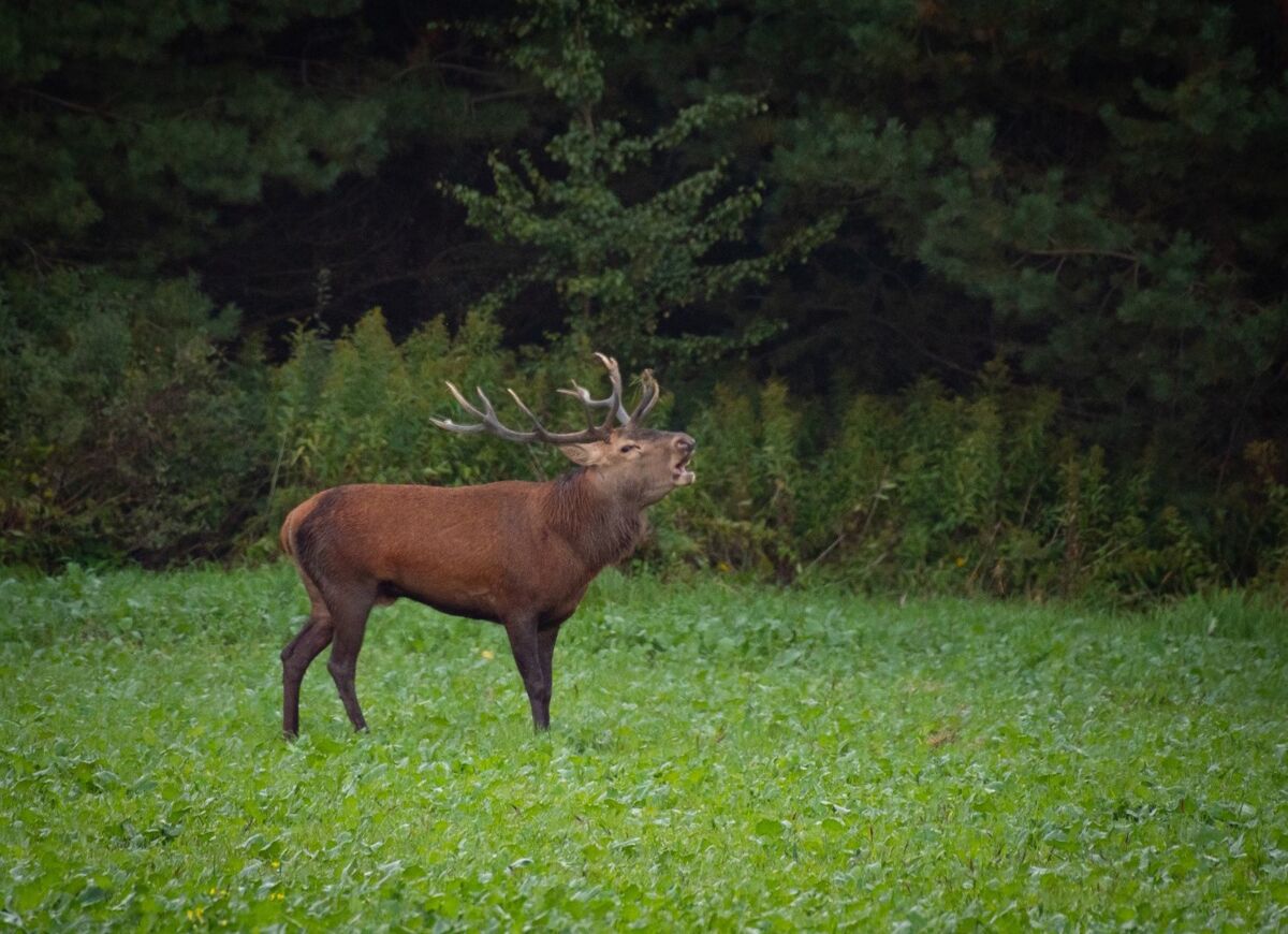 e130ed93-0c55-4b25-a82b-181103abcf42