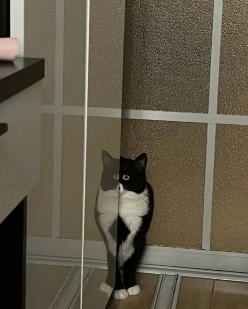 84064195-72f6-4d41-89bb-38a55b8a9a7f