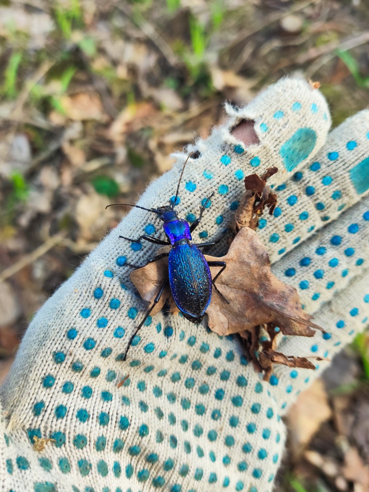 7a28eeef-8046-40ea-8ee1-f87baceefcee