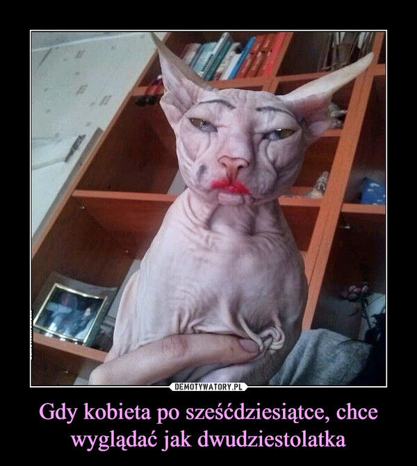 f26a0d7e-1092-4cd5-af81-2b9cc0584262