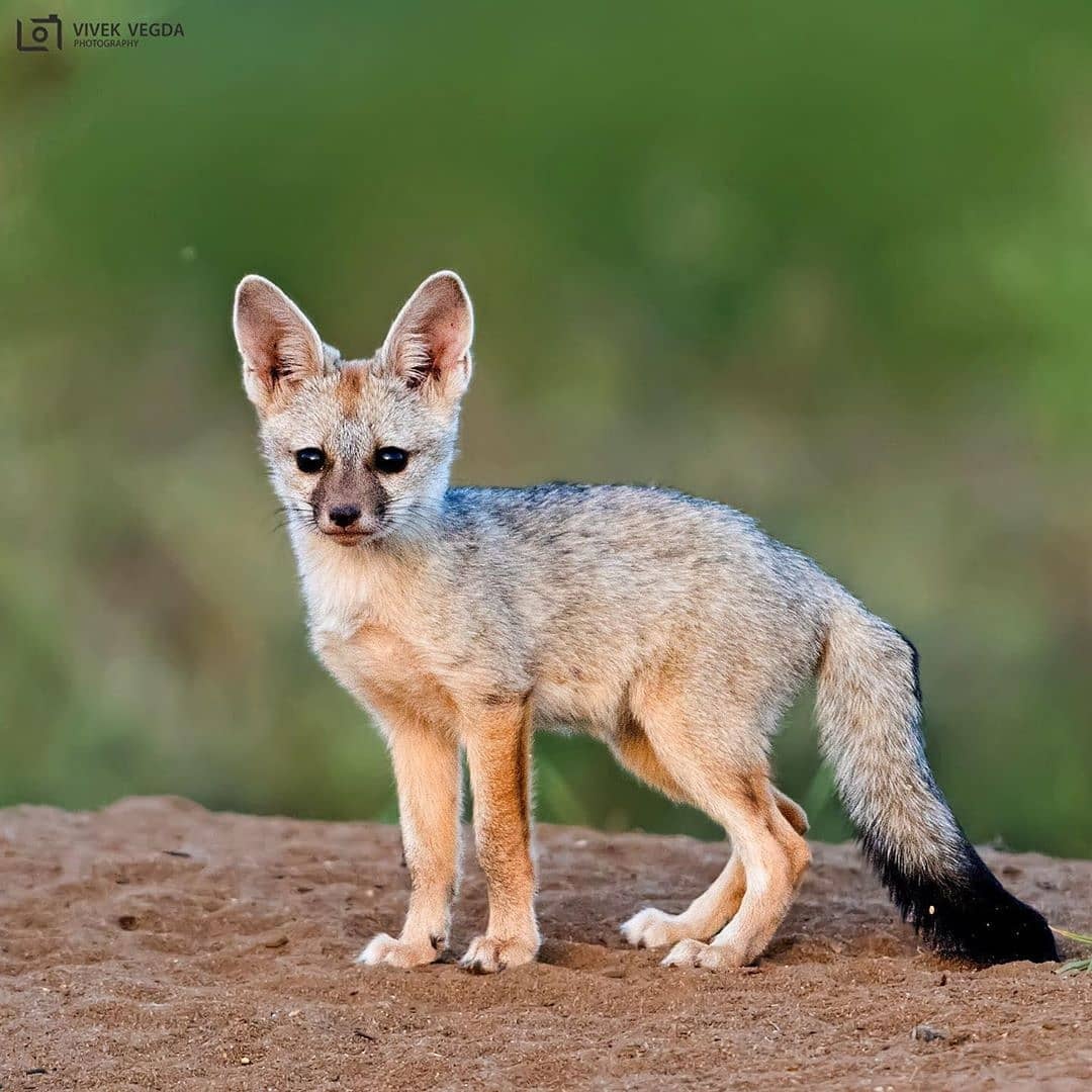 0b8b0f97-0602-48e2-be9c-e23e23539820