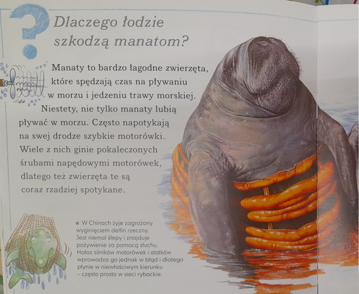 adbe86af-67dd-4bc4-bbf9-931e061620ce