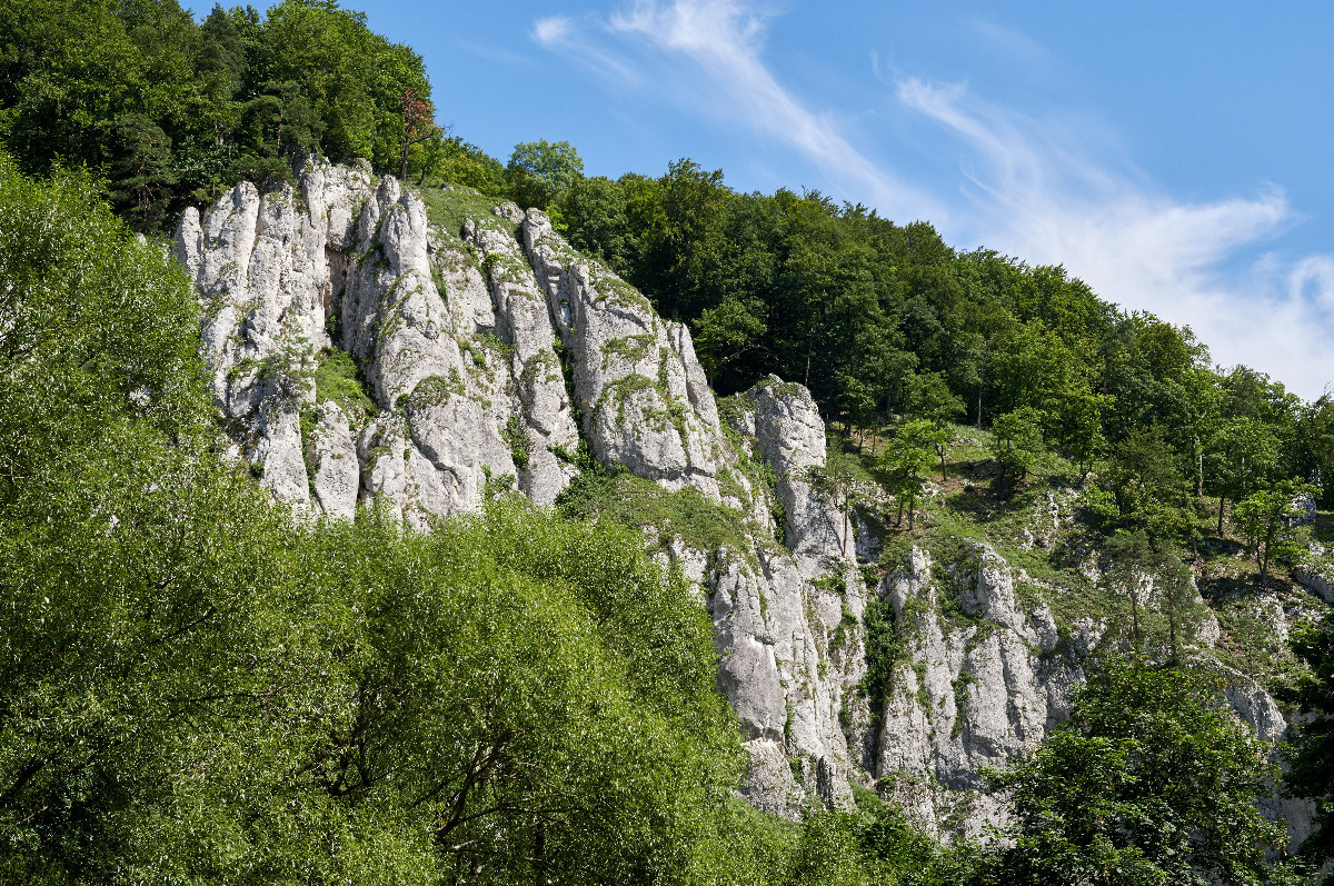 a61bdc06-0ecd-45fa-9628-0c4db5e342cb